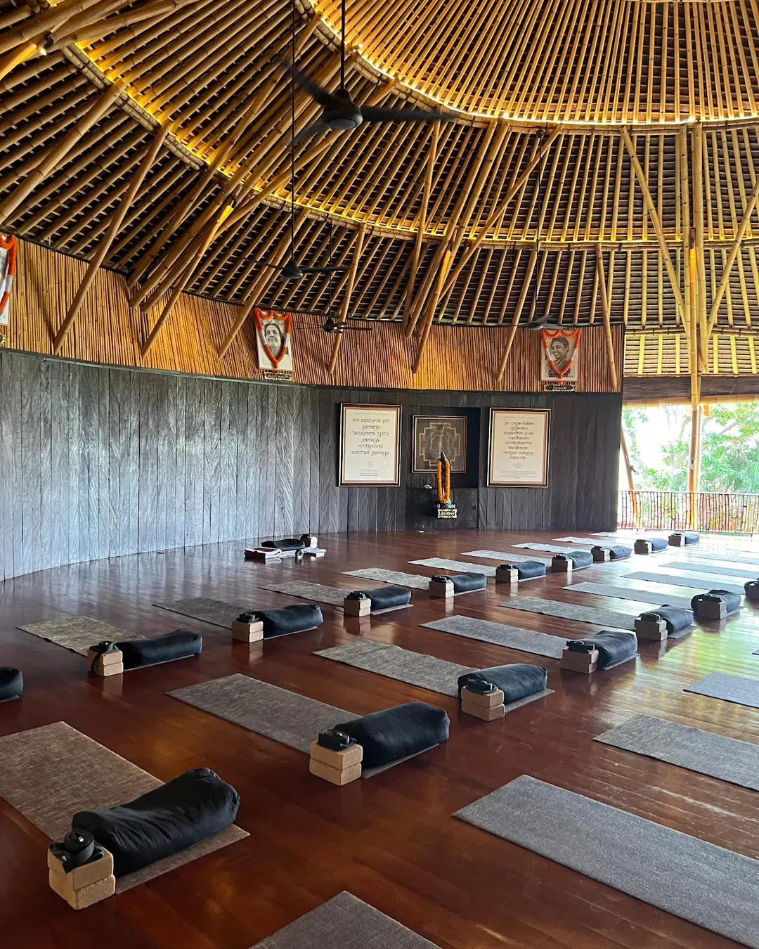 Yoga session surrounded by tropical nature