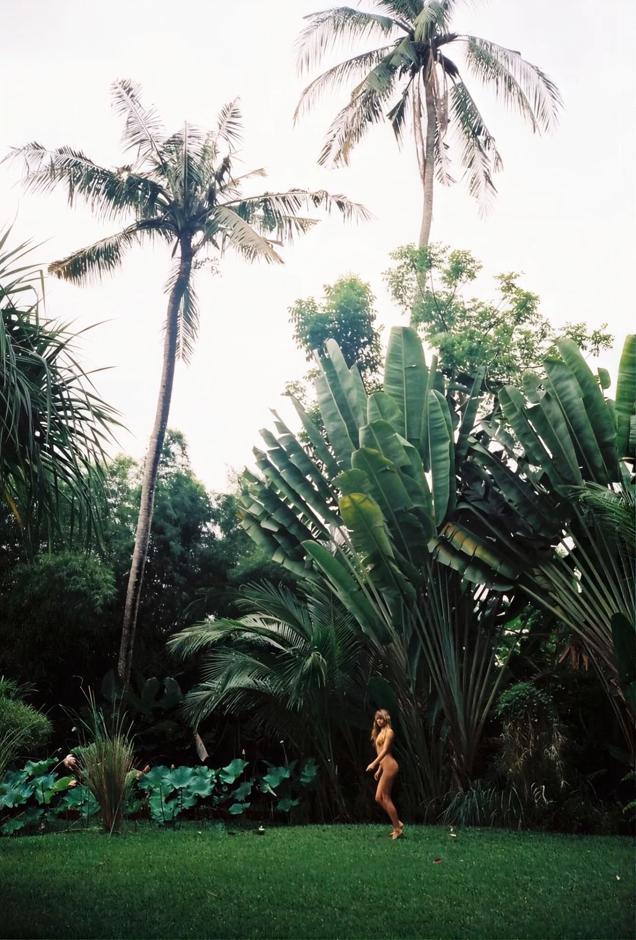 Tropical garden detail