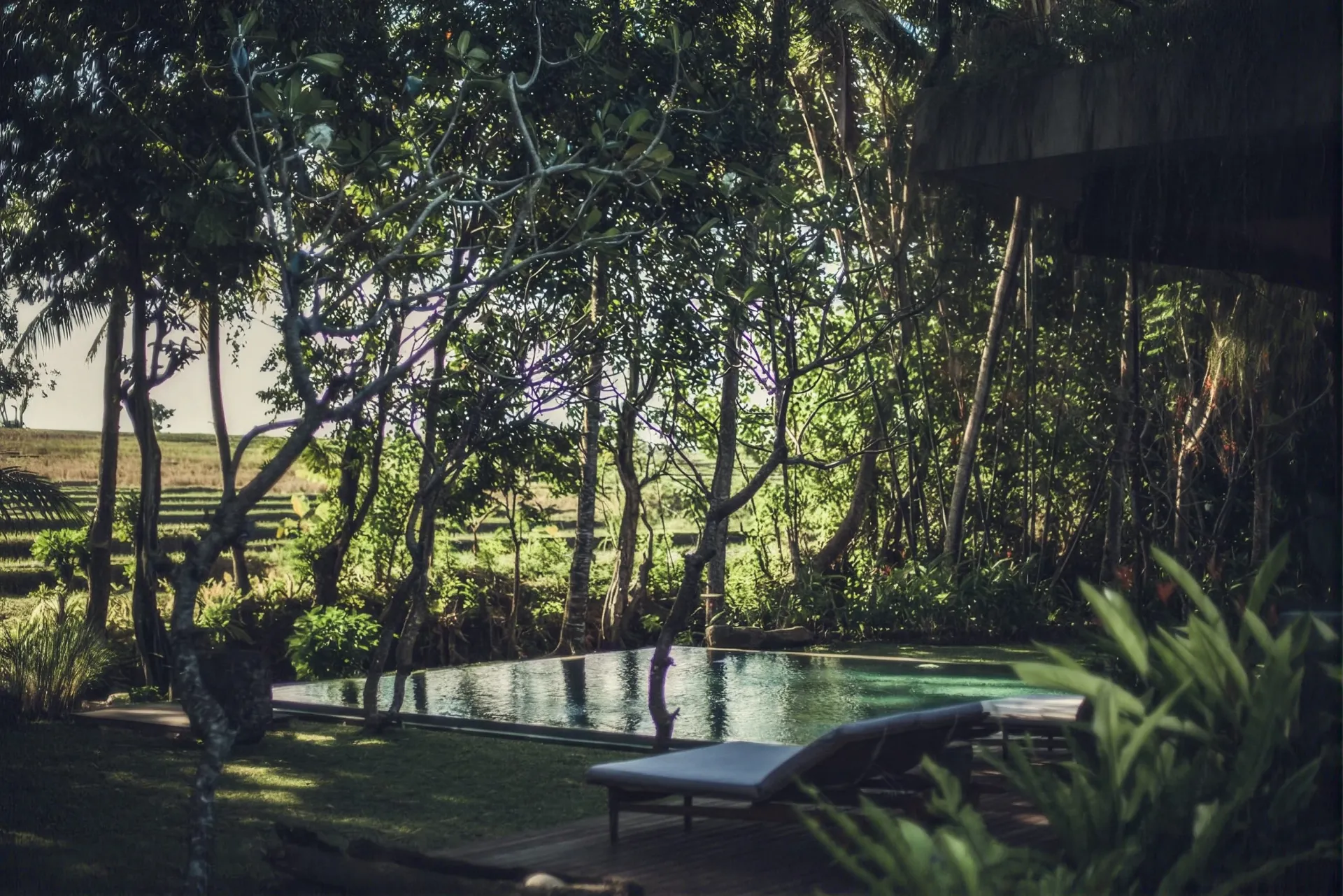 Stepping stones in the garden